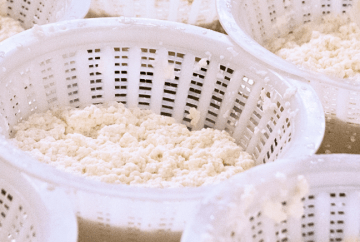 Ricotta fresca Latteria Sociale Moderna Bibbiano