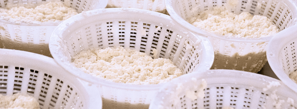 Ricotta fresca Latteria Sociale Moderna Bibbiano